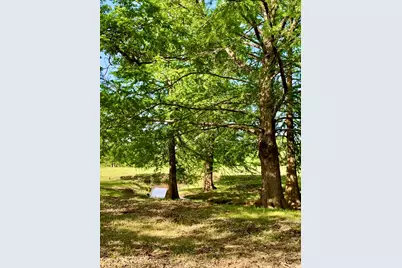 646 Victor Eckhardt Rd, Fredericksburg, TX 78624 - Photo 11