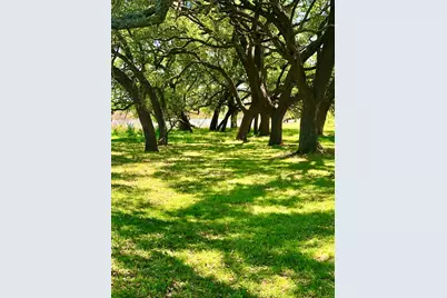 646 Victor Eckhardt Rd, Fredericksburg, TX 78624 - Photo 15