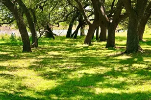 646 Victor Eckhardt Rd, Fredericksburg, TX 78624 - Photo 15