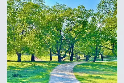 646 Victor Eckhardt Rd, Fredericksburg, TX 78624 - Photo 5