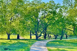 646 Victor Eckhardt Rd, Fredericksburg, TX 78624 - Photo 5