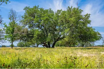 505 Fm 473, Comfort, TX 78013 - Photo 47