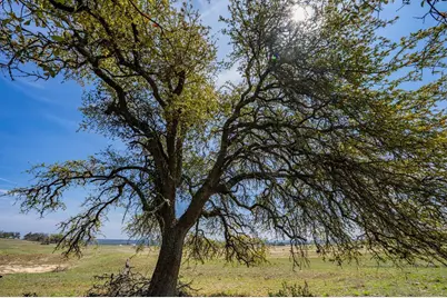Lot 26 Overhill Dr, Fredericksburg, TX 78624 - Photo 7