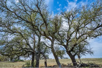 Lot 20 Overhill Dr, Fredericksburg, TX 78624 - Photo 9