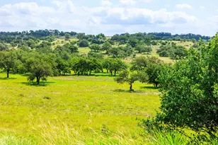 372 E Distant View Dr, Fredericksburg, TX 78624 - Photo 35