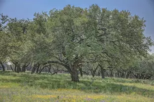 419 Yellowstone Ln, Hunt, TX 78024 - Photo 13