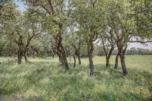 419 Yellowstone Ln, Hunt, TX 78024 - Photo 61