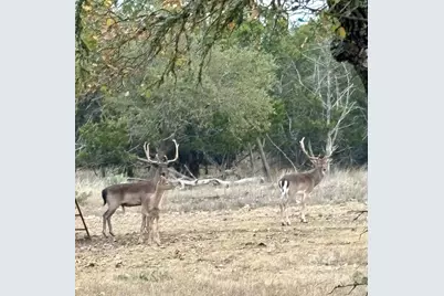 419 Yellowstone Lane, Hunt, TX 78024 - Photo 5
