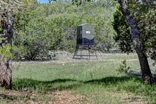 419 Yellowstone Ln, Hunt, TX 78024 - Photo 51