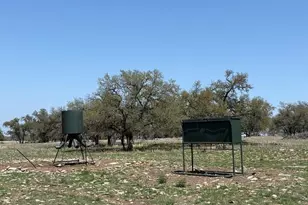 Lot 123 Fallow Dr, Harper, TX 78631 - Photo 1