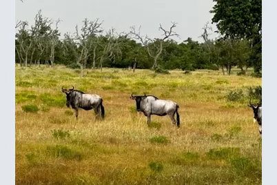 Lot 123 Fallow Dr, Harper, TX 78631 - Photo 15