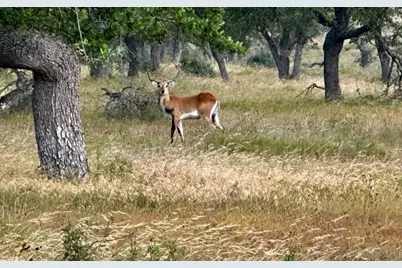 Lot 123 Fallow Dr, Harper, TX 78631 - Photo 17