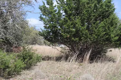 105 Manuel Herrera, Blanco, TX 78606 - Photo 13