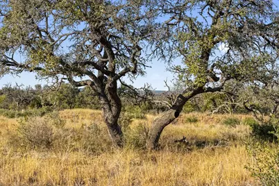 Lot 91 Axis Circle, Fredericksburg, TX 78624 - Photo 21