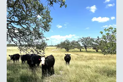 Lot5 S Ranch Rd 783, Harper, TX 78631 - Photo 1