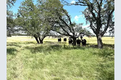 Lot 10-11 S Ranch Rd 783, Harper, TX 78631 - Photo 1