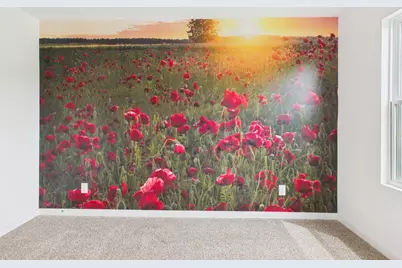 724 Grace Ln, Fredericksburg, TX 78624 - Photo 9