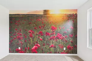 724 Grace Ln, Fredericksburg, TX 78624 - Photo 9