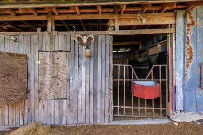 453 Reeves Lane, Harper, TX 78631 - Photo 27