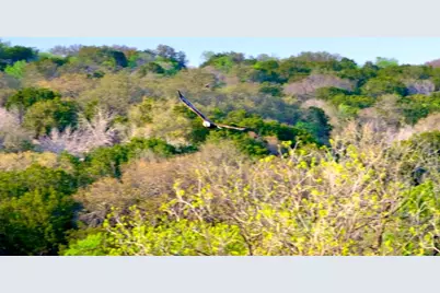 7461 Triplet Mill Rd, Mason, TX 76856 - Photo 21