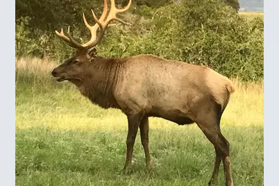 1519 Brushy Top Trail, Blanco, TX 78636 - Photo 21