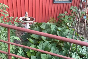 117 N Reading Ave, Center Point, TX 78010 - Photo 25