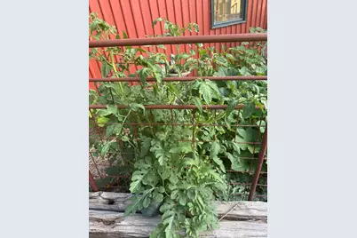 117 N Reading Ave, Center Point, TX 78010 - Photo 23