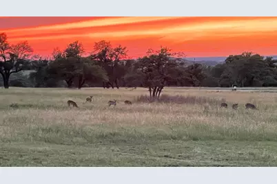 905 Thriving Oak Dr., Fredericksburg, TX 78624 - Photo 31