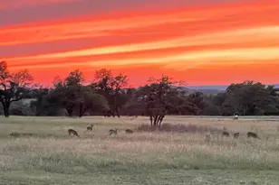 905 Thriving Oak Dr, Fredericksburg, TX 78624 - Photo 31