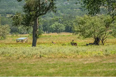 1314 Saddle Club Drive, Kerrville, TX 78028 - Photo 7