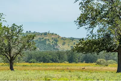1314 Saddle Club Drive, Kerrville, TX 78028 - Photo 5