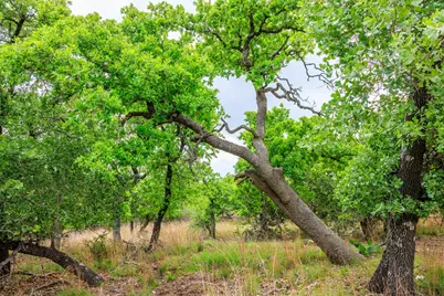 2050 Adj Lane, Fredericksburg, TX 78624 - Photo 51