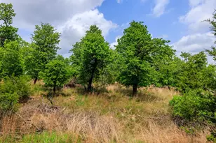 2050 Adj Ln, Fredericksburg, TX 78624 - Photo 27