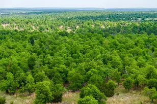 2050 Adj Ln, Fredericksburg, TX 78624 - Photo 53