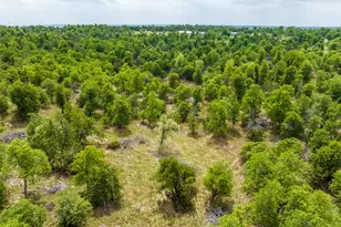 2050 Adj Ln, Fredericksburg, TX 78624 - Photo 51