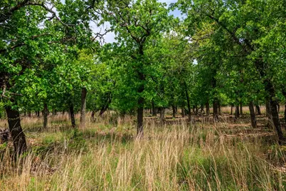 2050 Adj Lane, Fredericksburg, TX 78624 - Photo 63
