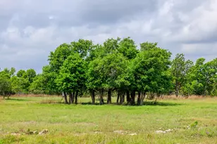 2050 Adj Ln, Fredericksburg, TX 78624 - Photo 25