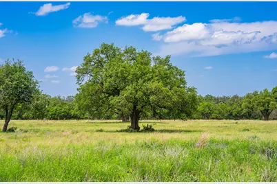 Lot 79 Stock Pond Dr, Harper, TX 78631 - Photo 5