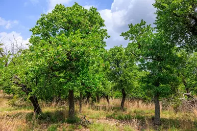 2050 Adj Lane, Fredericksburg, TX 78624 - Photo 23
