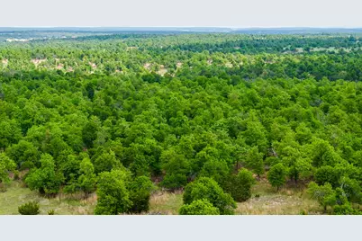 2050 Adj Lane, Fredericksburg, TX 78624 - Photo 53