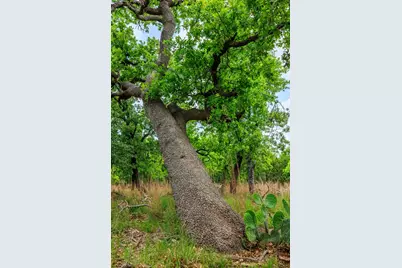 2050 Adj Lane, Fredericksburg, TX 78624 - Photo 19