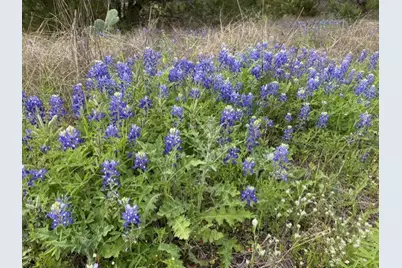 1365 Pedernales Hills Dr, Johnson City, TX 78636 - Photo 3