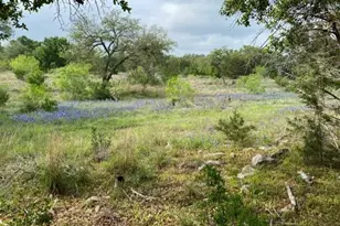 1365 Pedernales Hills Dr, Johnson City, TX 78636 - Photo 1