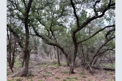 Tbd Narrows Rd, Blanco, TX 78606 - Photo 7