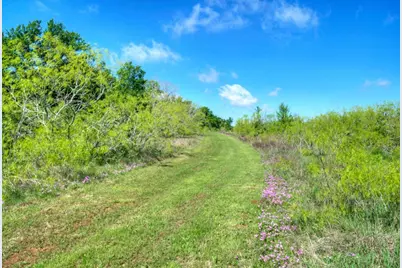 Tract 3 County Rd 463, Elgin, TX 78621 - Photo 31