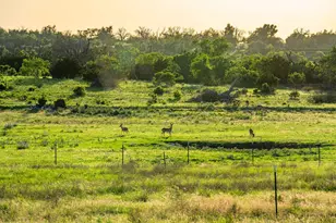 289 Scenic Outlook Trail, Fredericksburg, TX 78624 - Photo 33