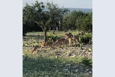 932 Shin Oak, Menard, TX 76859 - Photo 21