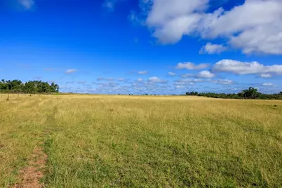 875 Gypsum Mine Rd, Fredericksburg, TX 78624 - Photo 13
