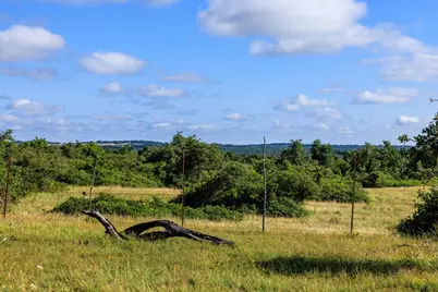 875 Gypsum Mine Rd, Fredericksburg, TX 78624 - Photo 27