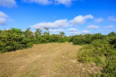 875 Gypsum Mine Rd, Fredericksburg, TX 78624 - Photo 23